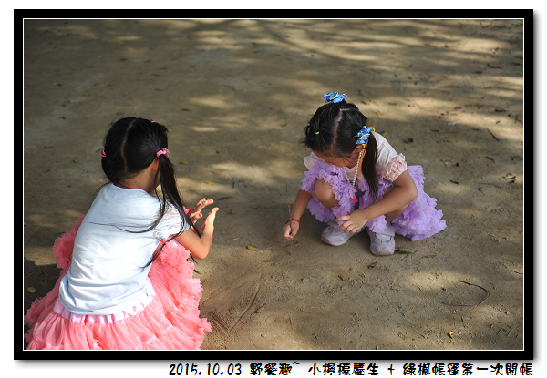 DSC_6867.jpg DSC_6867.jpg