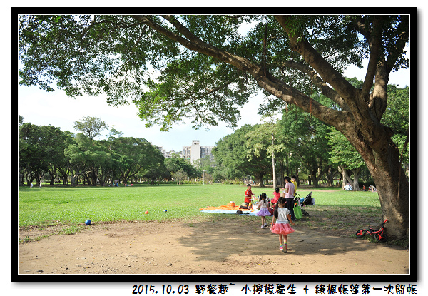 DSC_6872.jpg DSC_6872.jpg