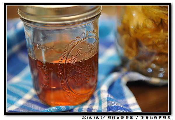 CoOk】-糖漬白洛神花/ 夏季的薄荷糖漿@ 呆頭鵝的生活誌:: 痞客邦::