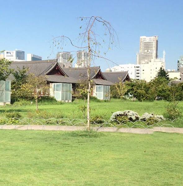 草地.jpeg 草地.jpeg