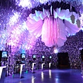 P1190275.JPG