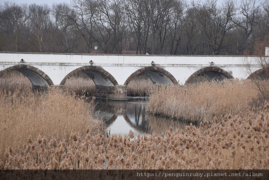 【匈牙利Hungary】包含布達佩斯的全國城鎮旅遊攻略介紹< 【匈牙利Hungary】包含布達佩斯的全國城鎮旅遊攻略介紹<