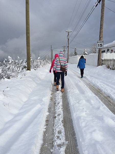 S__24027141.jpg S__24027141.jpg