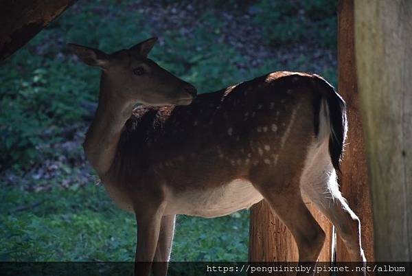 【匈牙利Hungary】包含布達佩斯的全國城鎮旅遊攻略介紹< 【匈牙利Hungary】包含布達佩斯的全國城鎮旅遊攻略介紹<