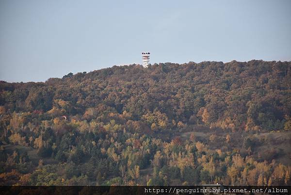 DSC_0196 DSC_0196