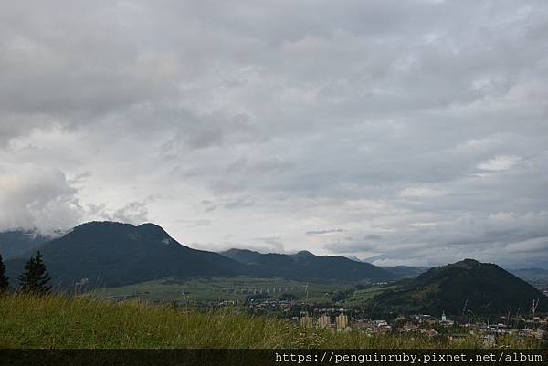 DSC_0785 DSC_0785