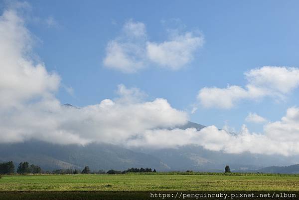 DSC_0872 DSC_0872
