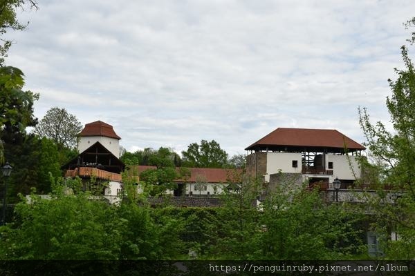 DSC_0528_0 DSC_0528_0