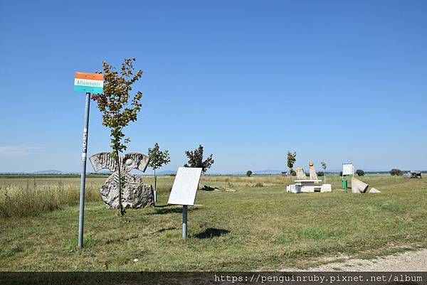 DSC_0173 (2) DSC_0173 (2)