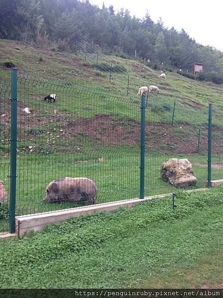 S__74342438 S__74342438