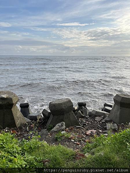 S__79257615 S__79257615