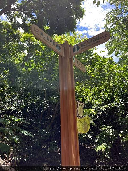 S__79593537 S__79593537