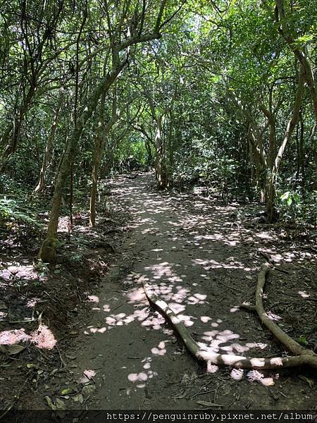 S__79593533 S__79593533