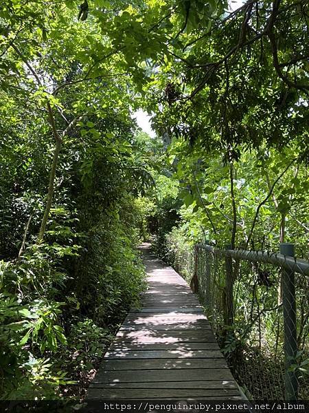 S__79593534 S__79593534