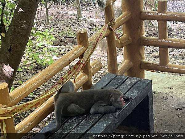 S__79593515 S__79593515