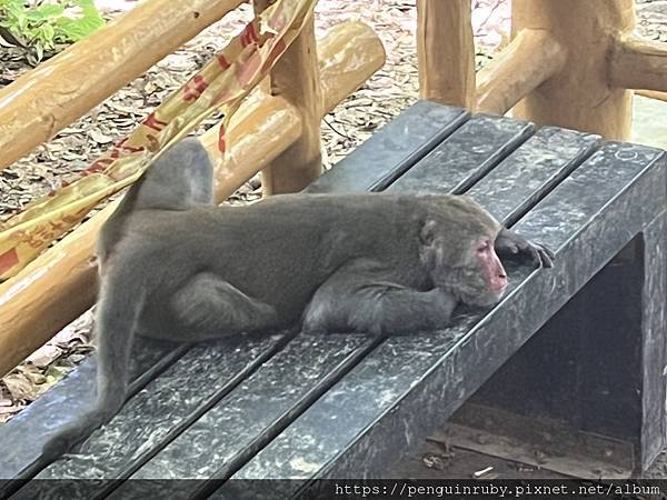 S__79593514 S__79593514