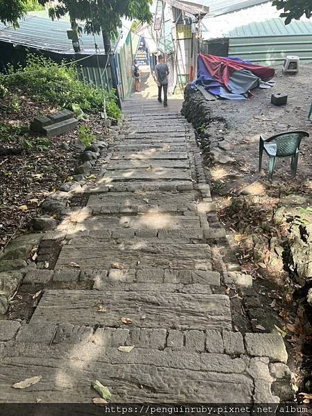 S__79593512 S__79593512