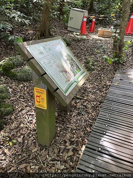 S__79593517 S__79593517