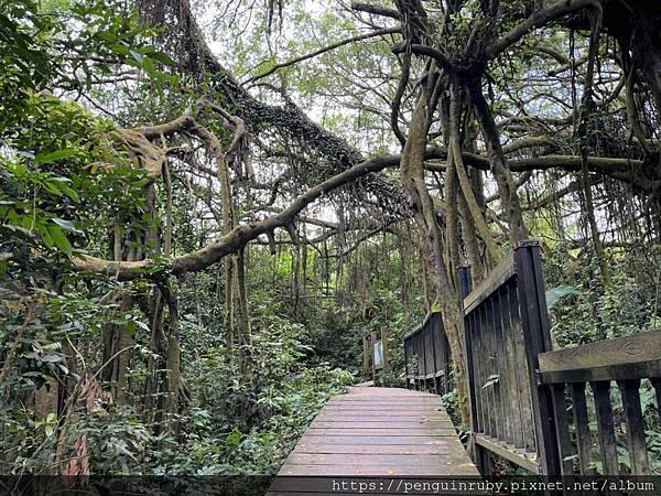 S__79593518 S__79593518