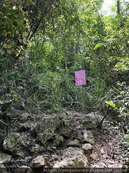 S__79593521 S__79593521