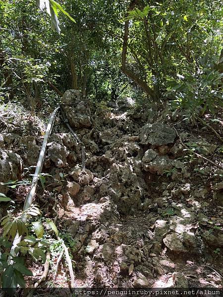 S__79593522 S__79593522