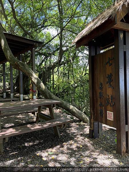 S__79593523 S__79593523