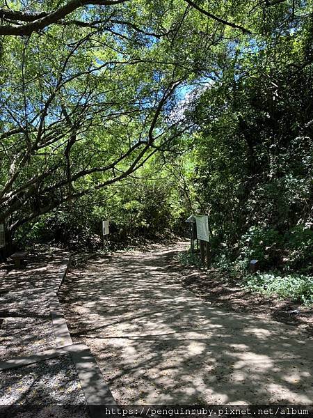 S__79593524 S__79593524