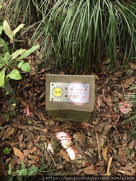 S__79593477 S__79593477