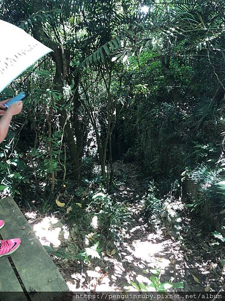 S__79593480 S__79593480