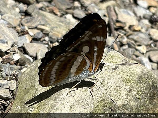 S__80658445 S__80658445