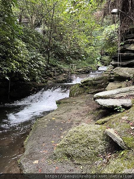 S__80658454 S__80658454