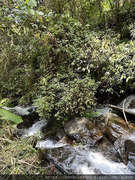 S__80658439 S__80658439