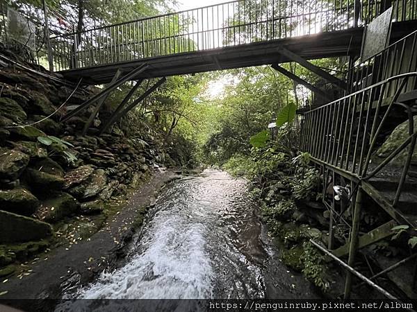 S__80658461 S__80658461