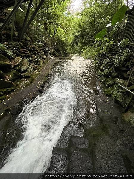 S__80658462 S__80658462