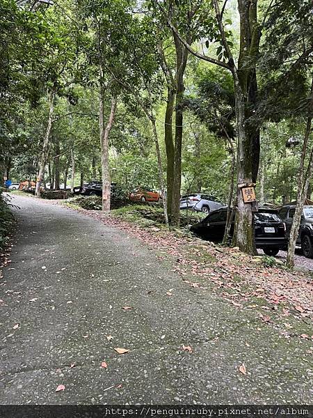 S__80658474 S__80658474