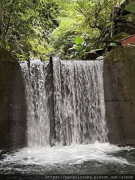 S__80658464 S__80658464