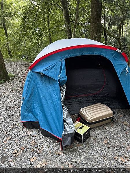 S__80658480 S__80658480