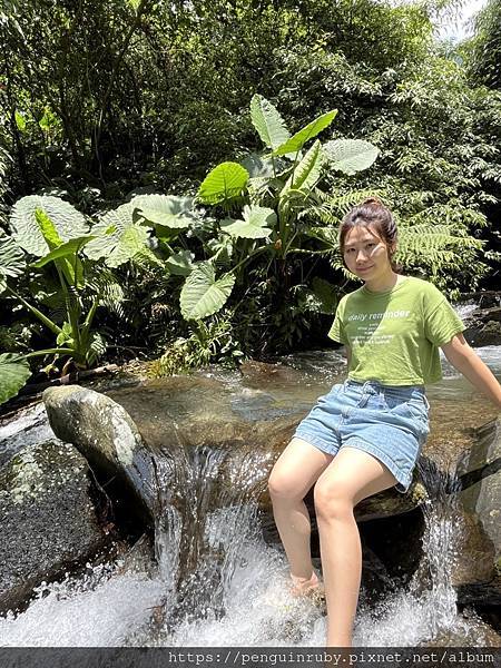 S__80658441 S__80658441