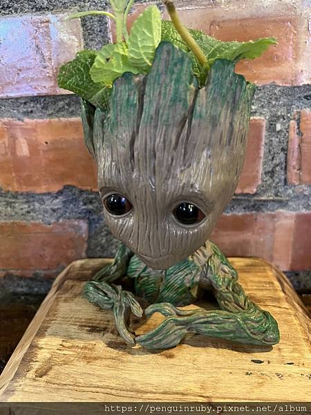 S__80871439 S__80871439