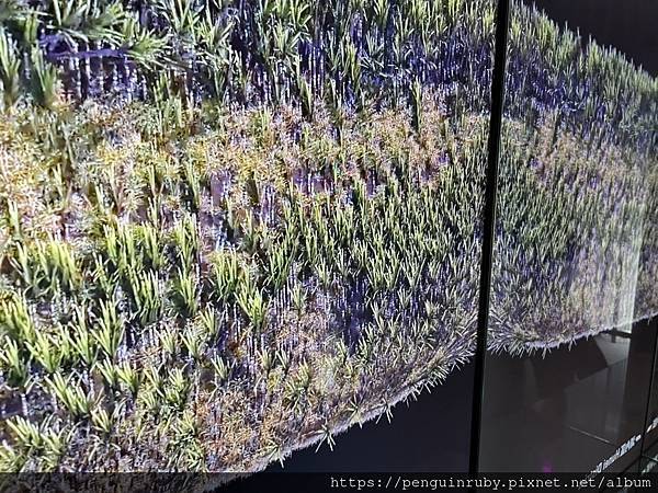 S__81543175 S__81543175