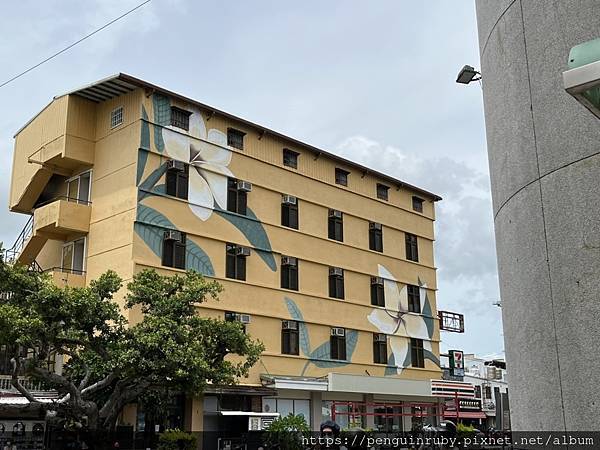 S__81420314 S__81420314