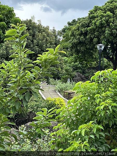 S__81420292 S__81420292