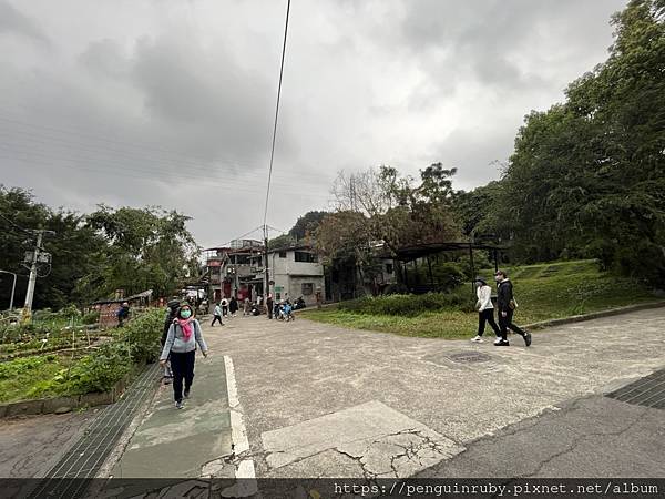 S__85311496 S__85311496