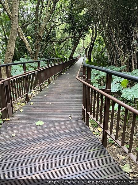 S__85311522 S__85311522