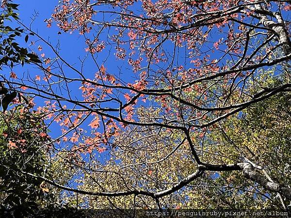 【旅遊說說】住宿-訂房網站小攻略-簡易比較篇 【旅遊說說】住宿-訂房網站小攻略-簡易比較篇