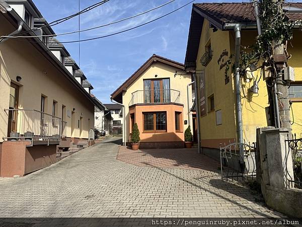 S__86605838 S__86605838