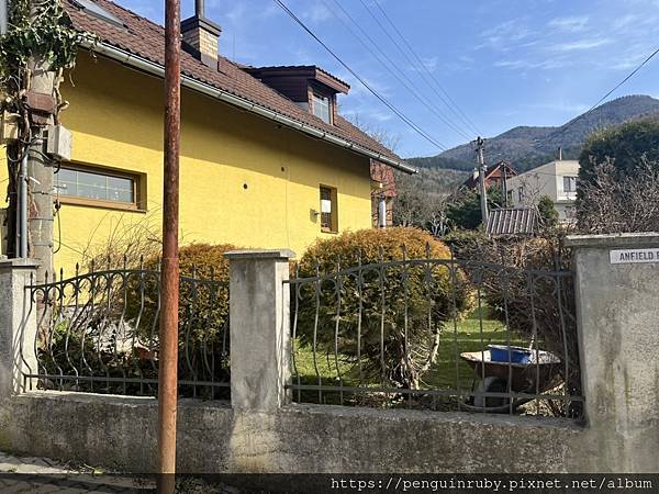 S__86605837 S__86605837