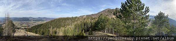 S__86605831 S__86605831