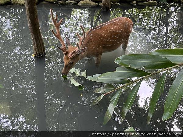 S__82190359 S__82190359