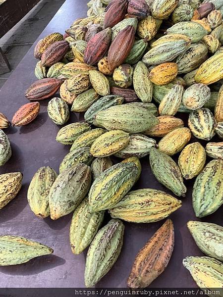 S__82190385 S__82190385